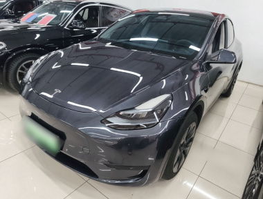 Tesla Model Y 2024 car image 