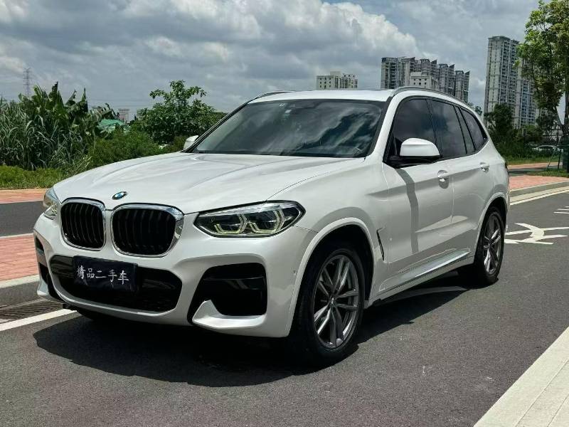 BMW X3 2019 BMW X3 2019 car image
