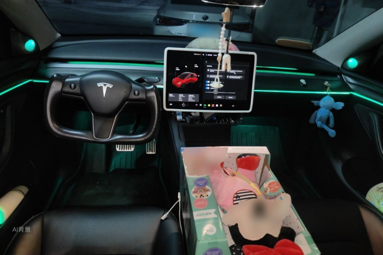 Tesla Model Y 2021 car image #11