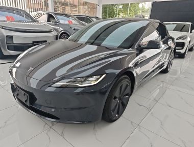 Tesla Model 3 2024 Tesla Model 3 2024 car image