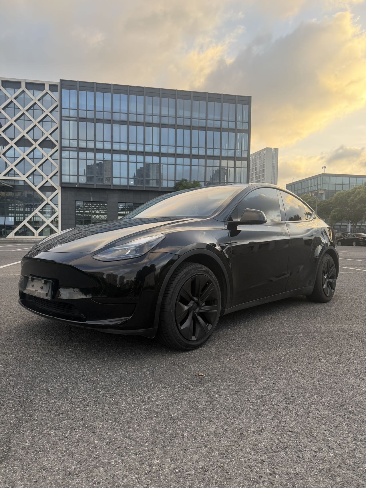 Tesla Model Y 2023 Tesla Model Y 2023 car image
