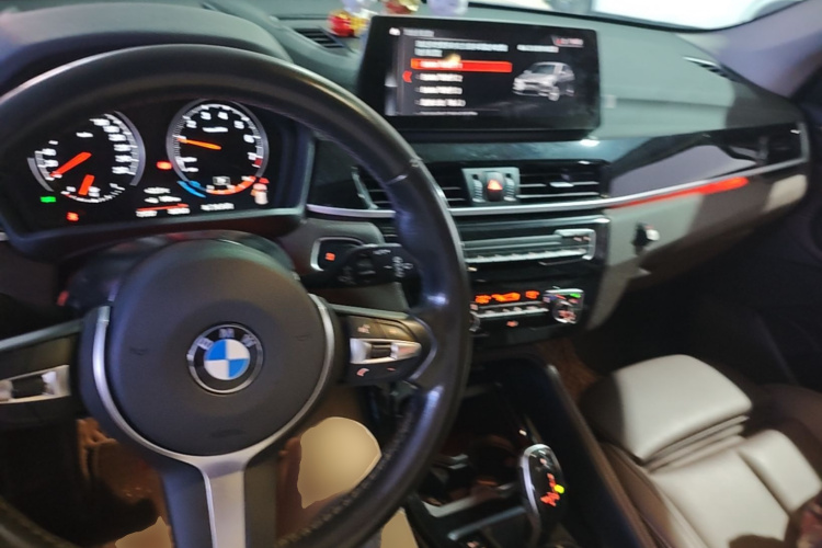 BMW X1 2019 car image #10