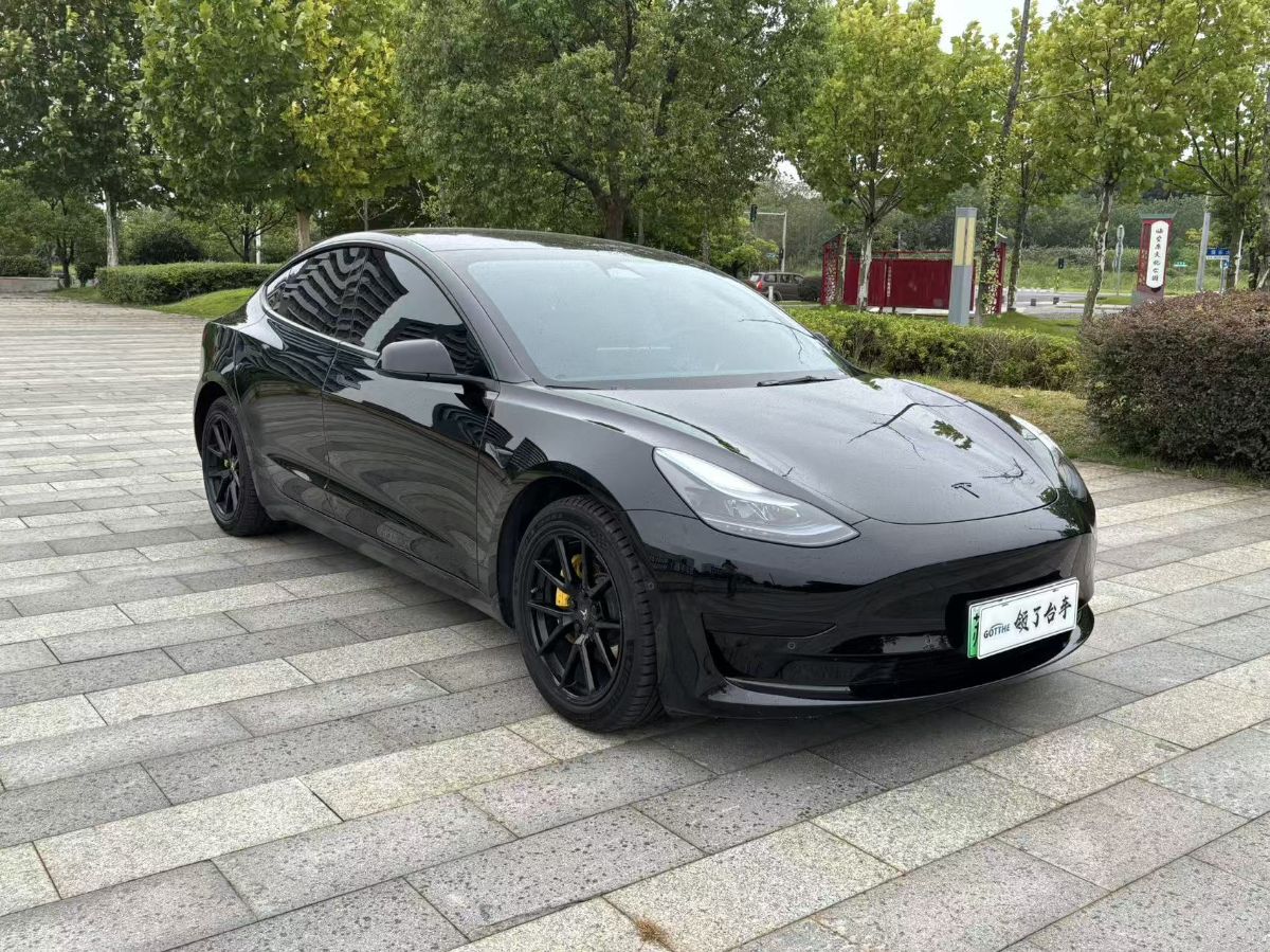 Tesla Model 3 2023 #3 Tesla Model 3 2023 car image #3
