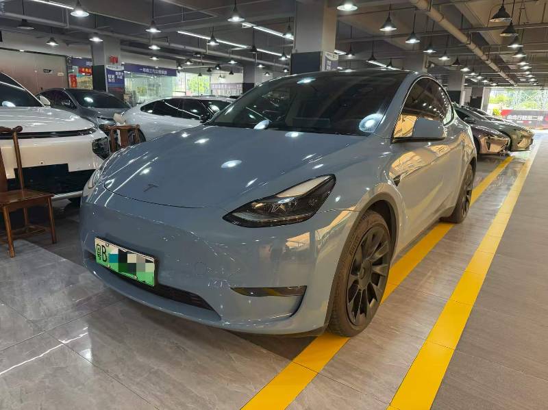 Tesla Model Y 2021 Tesla Model Y 2021 car image