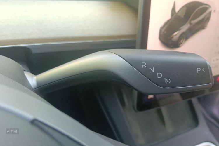 Tesla Model Y 2021 #16 Tesla Model Y 2021 صورة سيارة #16