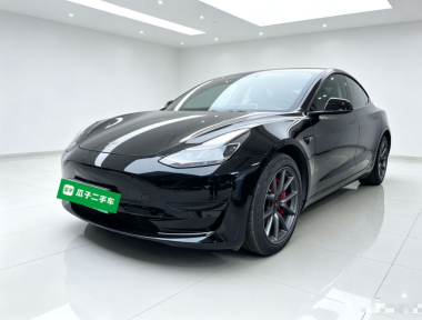 Tesla Model 3 2023 Tesla Model 3 2023 car image