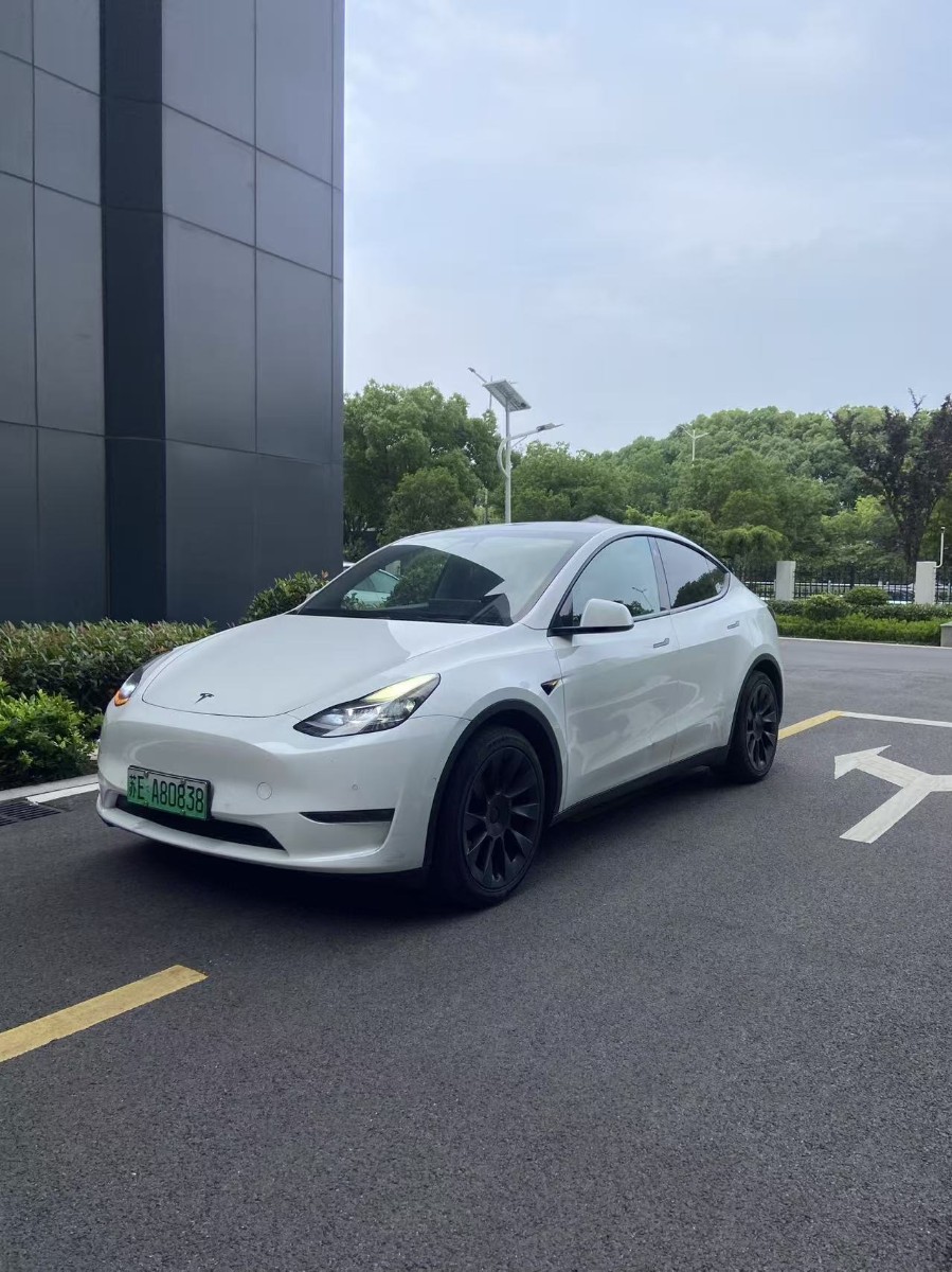 Tesla Model Y 2022 Tesla Model Y 2022 car image