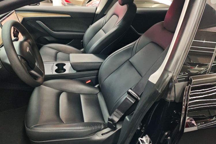 Tesla Model 3 2022 #16 Tesla Model 3 2022 car image #16