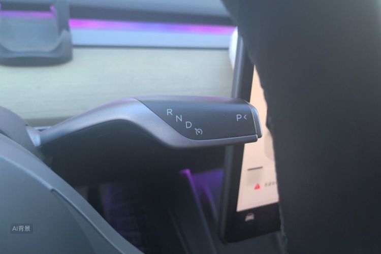Tesla Model Y 2023 #16 Tesla Model Y 2023 car image #16