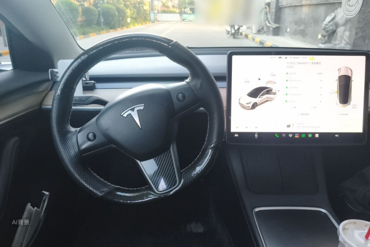 Tesla Model 3 2021 #12 Tesla Model 3 2021 car image #12