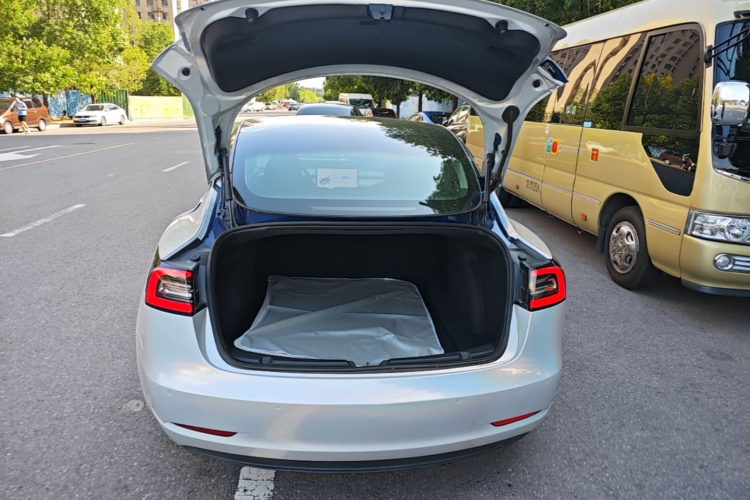 Tesla Model 3 2020 car image #19