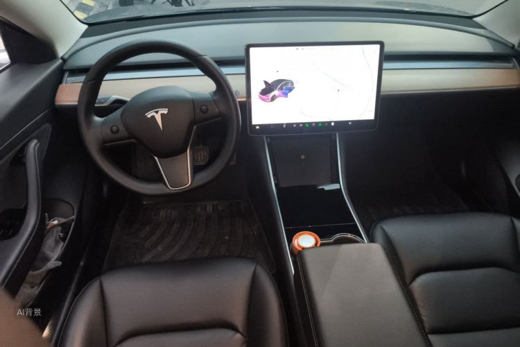 Tesla Model 3 2020 car image #11
