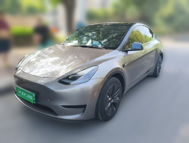 Tesla Model Y 2023 Tesla Model Y 2023 car image