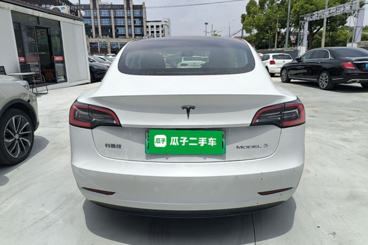 Tesla Model 3 2020 car image #6