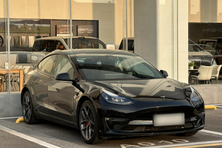 Tesla Model 3 2022 car image #9