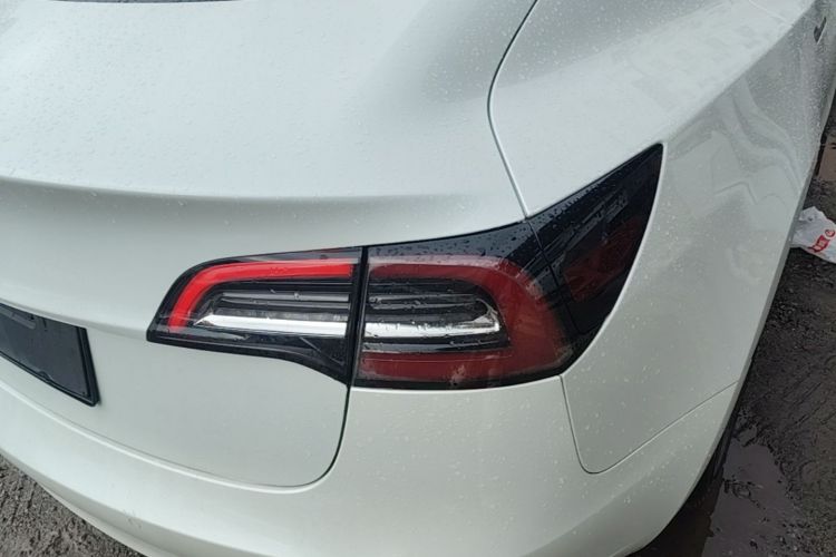 Tesla Model 3 2020 car image #8