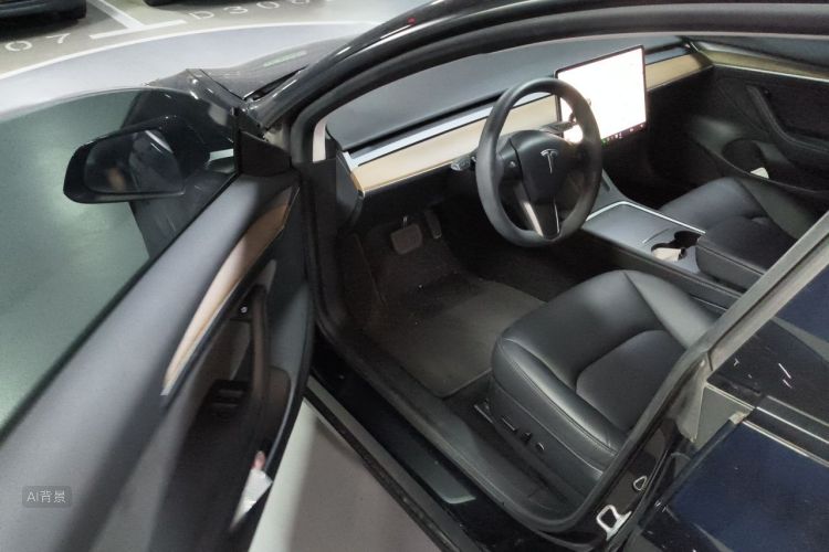 Tesla Model 3 2021 car image #18