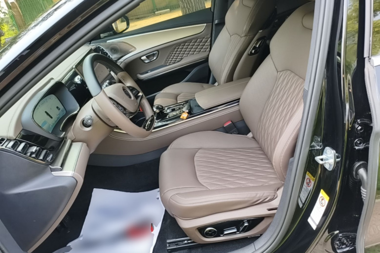 BYD Han 2022 car image #19