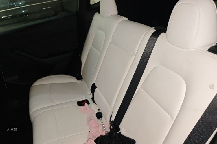 Tesla Model Y 2021 car image #19