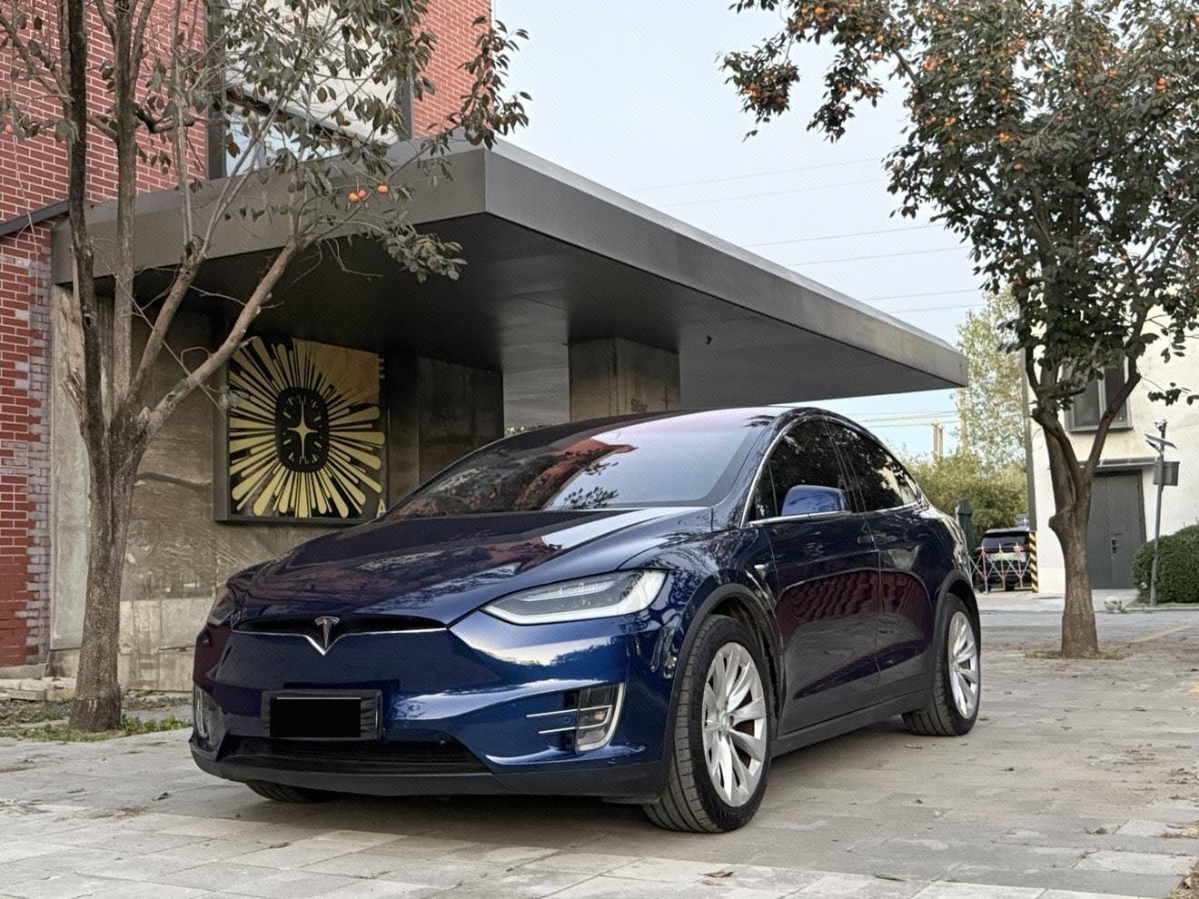 Tesla Model X 2018 immagine di auto 