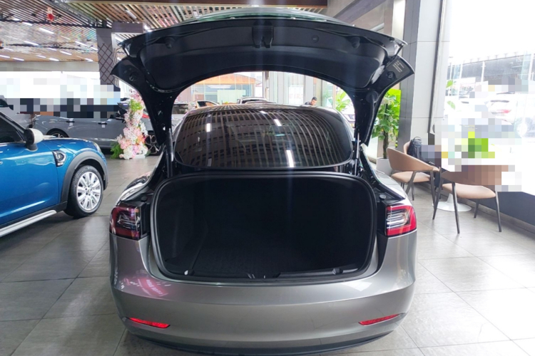 Tesla Model 3 2023 car image #19