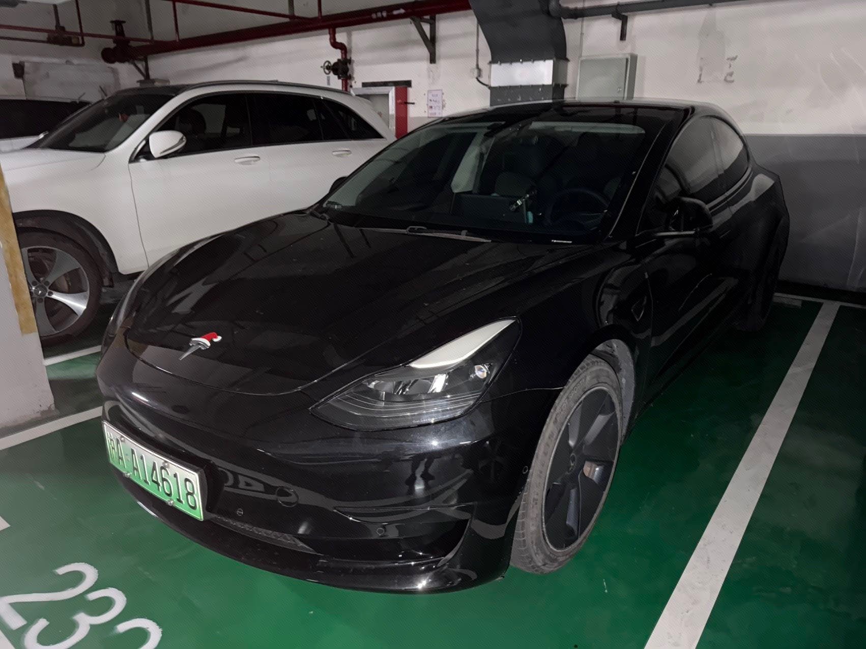 Tesla Model 3 2021 Tesla Model 3 2021 car image
