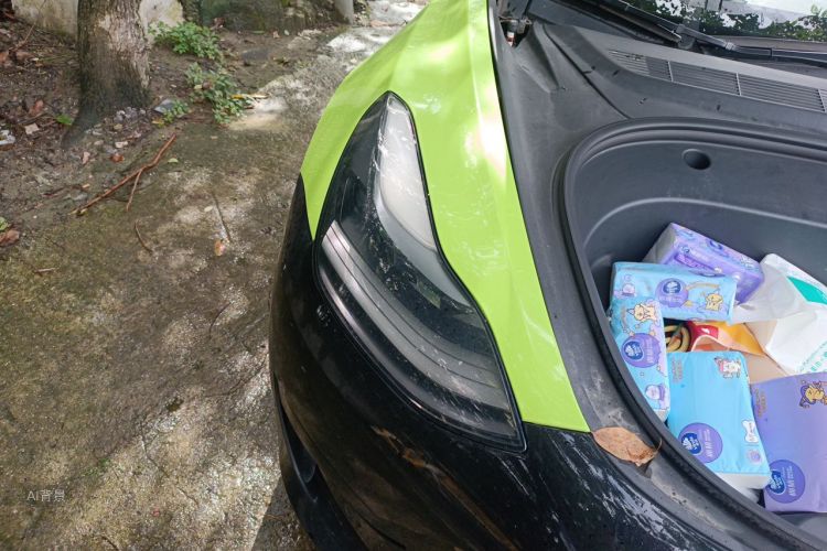 Tesla Model 3 2021 #8 Tesla Model 3 2021 car image #8