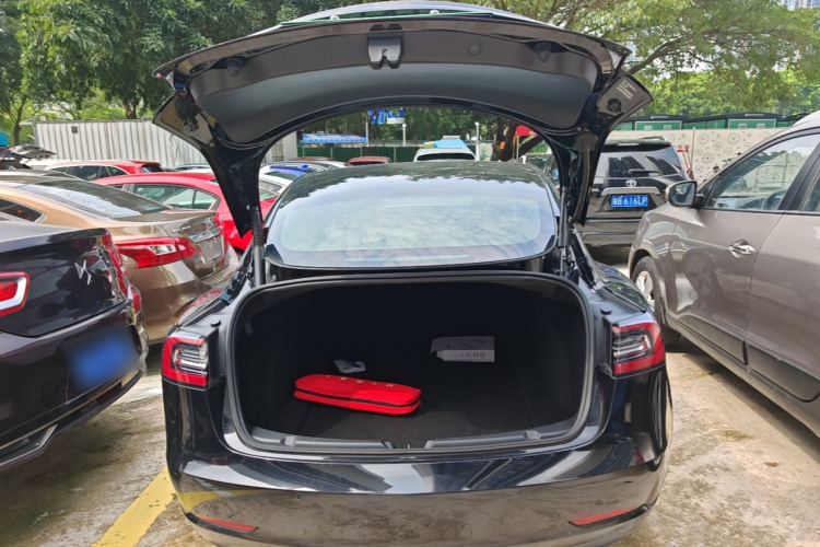 Tesla Model 3 2021 car image #19