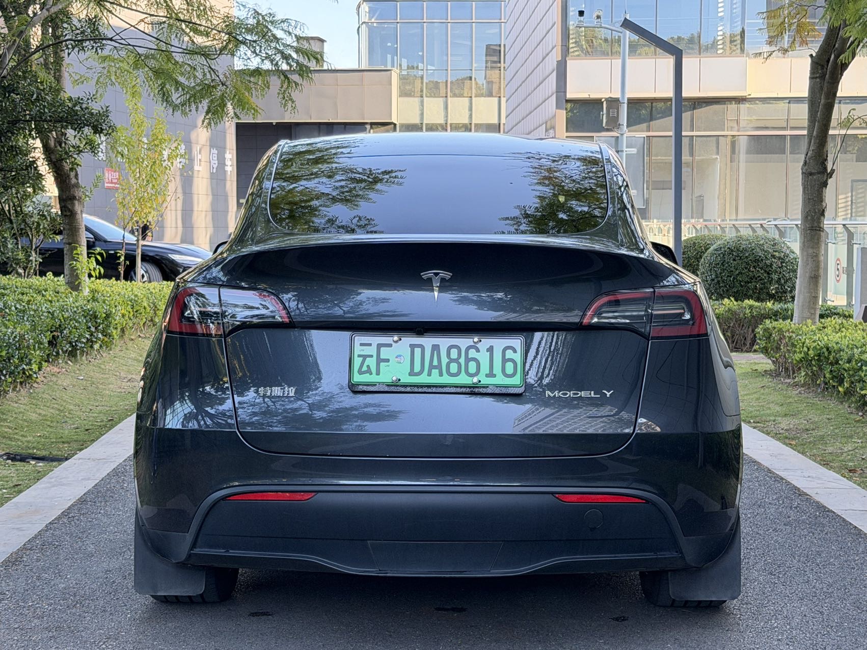 Tesla Model Y 2024 #7 Tesla Model Y 2024 imagen de coche #7