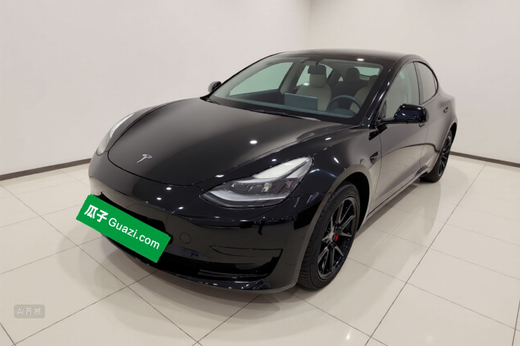 Tesla Model 3 2021 #2 Tesla Model 3 2021 car image #2