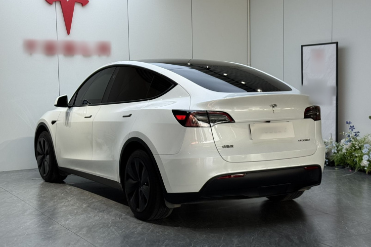 Tesla Model Y 2024 #7 Tesla Model Y 2024 car image #7