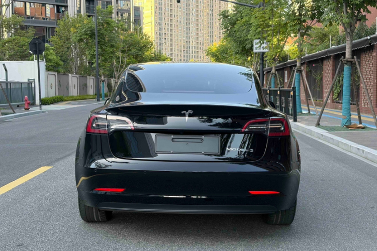 Tesla Model 3 2023 #6 Tesla Model 3 2023 car image #6