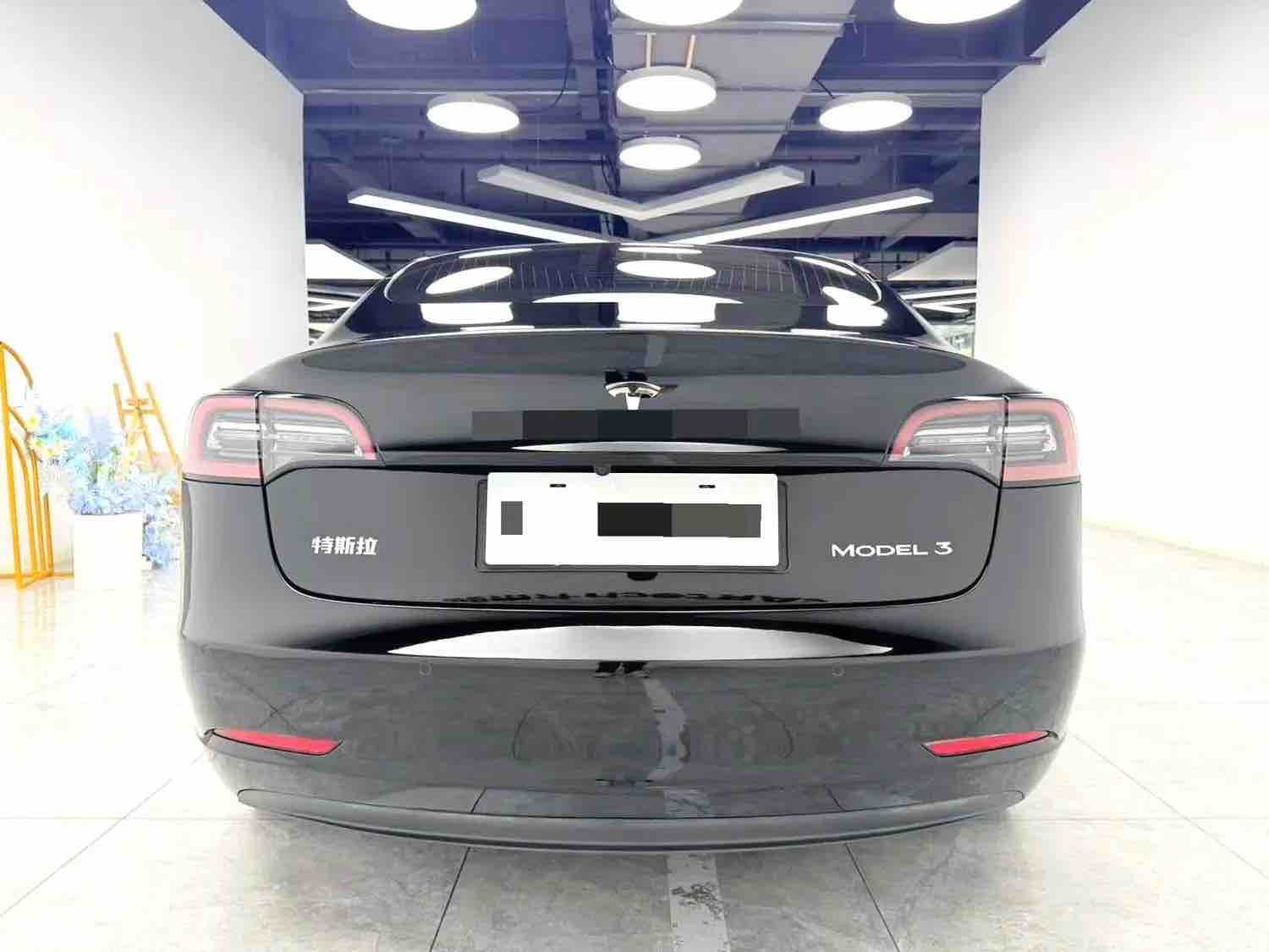 Tesla Model 3 2020 #5 Tesla Model 3 2020 car image #5
