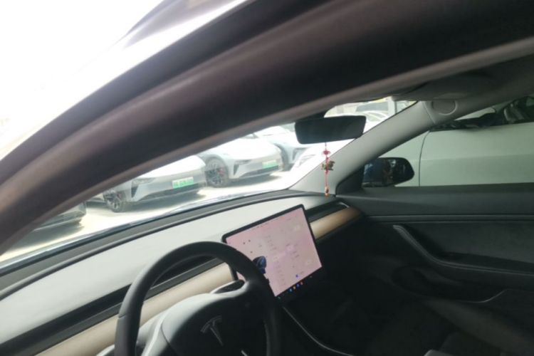Tesla Model 3 2020 car image #18