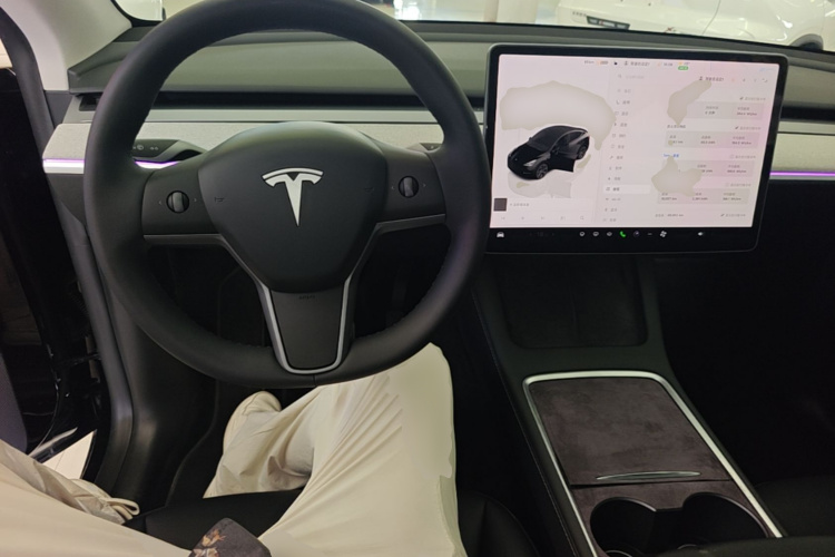 Tesla Model Y 2023 #10 Tesla Model Y 2023 car image #10