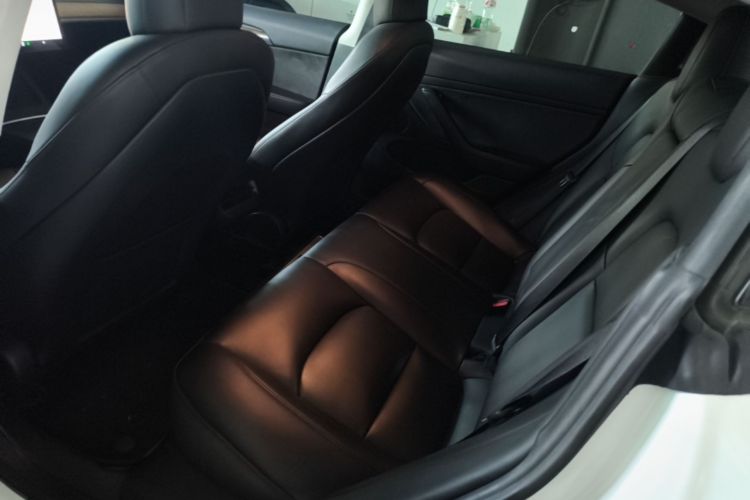 Tesla Model 3 2021 car image #17