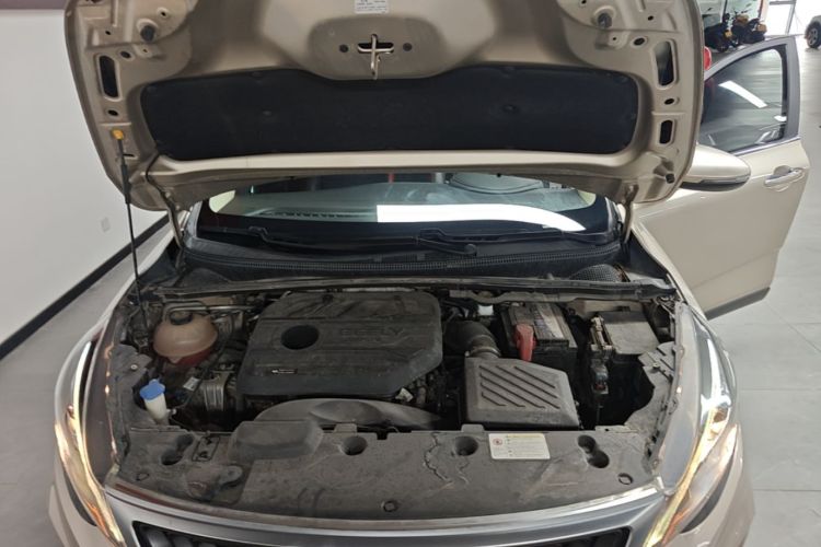 GEELY Emgrand GS 2021 car image #20