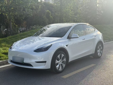 Tesla Model Y 2022 Tesla Model Y 2022 car image