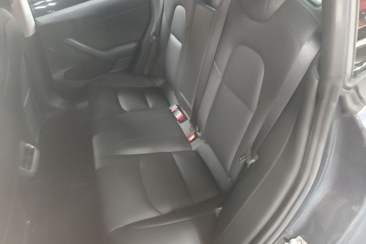 Tesla Model 3 2021 car image #17