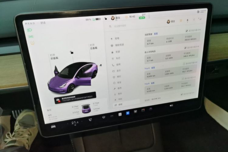 Tesla Model 3 2021 immagine di auto #12
