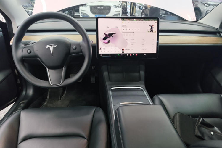 Tesla Model 3 2022 immagine di auto #11