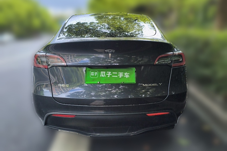 Tesla Model Y 2024 car image #6