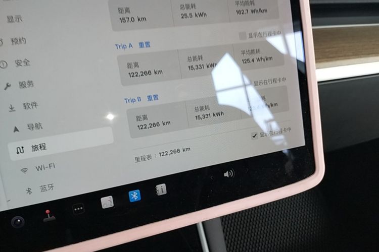 Tesla Model 3 2020 car image #12