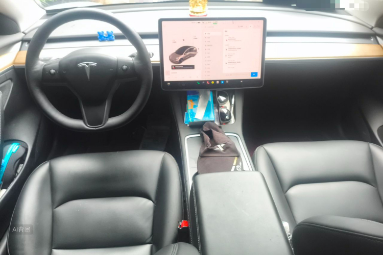 Tesla Model 3 2021 immagine di auto #11