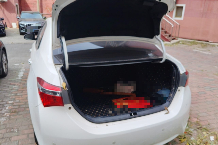 Toyota Corolla 2018 car image #21
