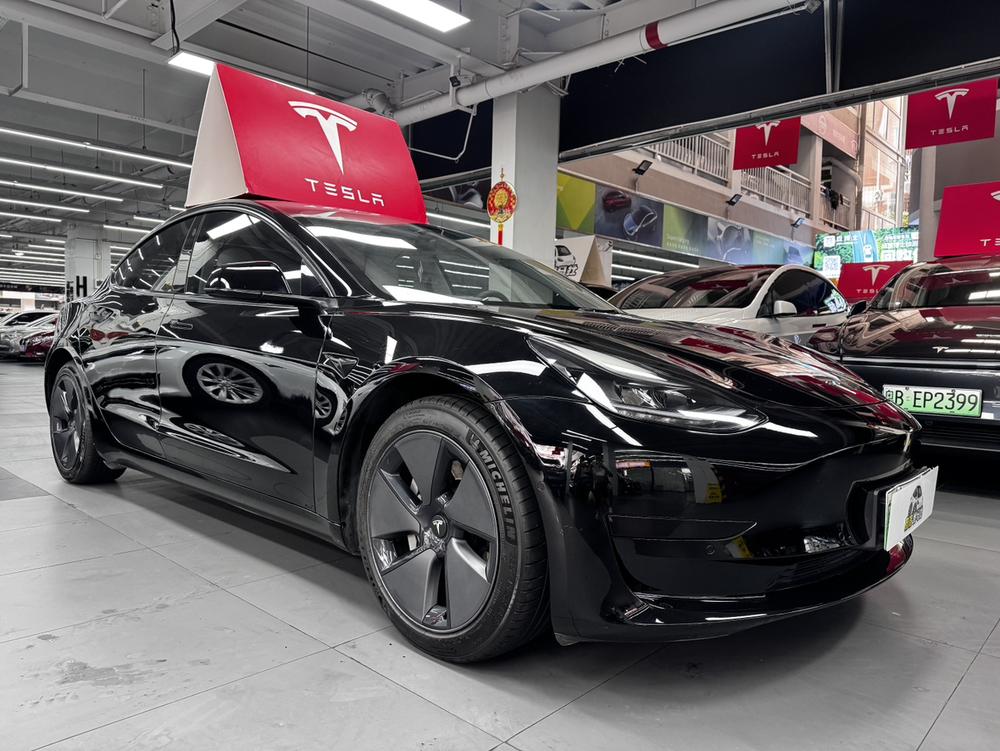 Tesla Model 3 2021 #3 Tesla Model 3 2021 car image #3