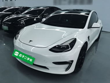 Tesla Model 3 2021 Tesla Model 3 2021 car image