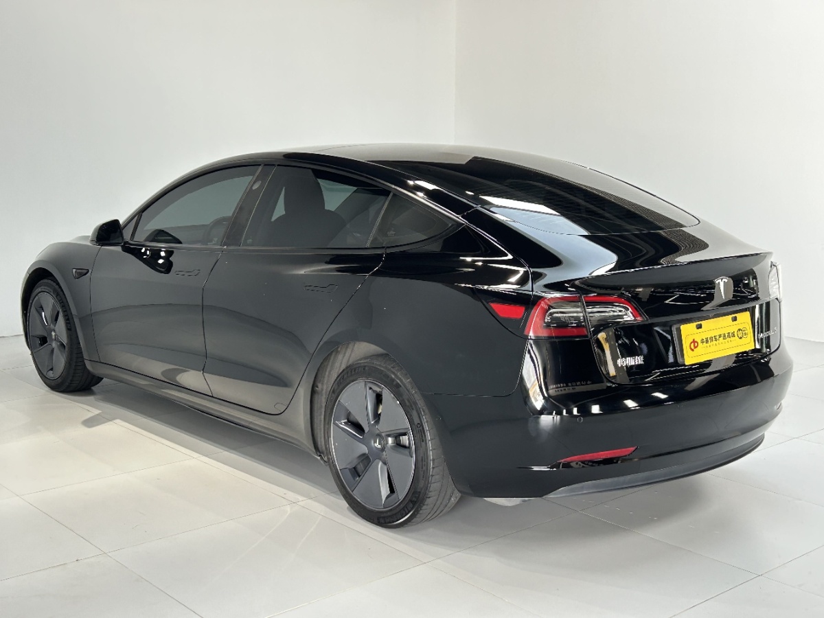 Tesla Model 3 2021 #6 Tesla Model 3 2021 car image #6