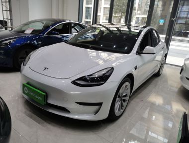 Tesla Model 3 2021 Tesla Model 3 2021 car image