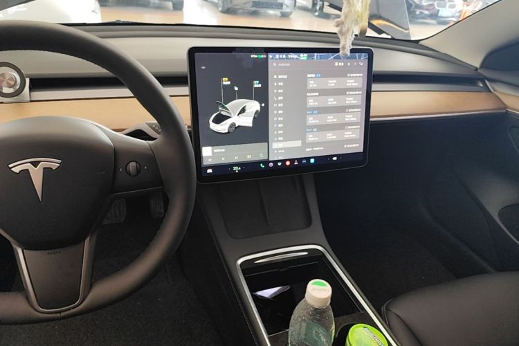 Tesla Model 3 2021 #10 Tesla Model 3 2021 car image #10